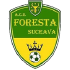 Foresta Suceava